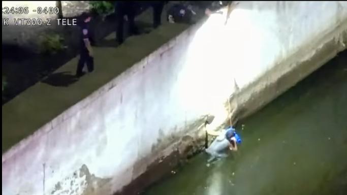 A suspect tries to flee Kent County sheriff's deputies by jumping into the Grand River during a stolen vehicle chase