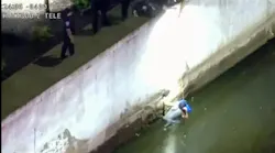 A suspect tries to flee Kent County sheriff's deputies by jumping into the Grand River during a stolen vehicle chase