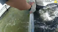 nyswaterrescue