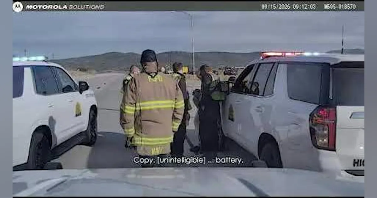 Video Shows Utah Police K-9 Break Legs in Serious Fall From Overpass