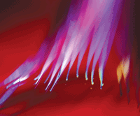 Aw 285 Persapplication02