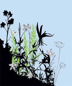 Aw 2896 0906 Econv Aw 2896 0906 Econv