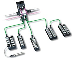 Aw 3546 0810 Murrinc Aw 3546 0810 Murrinc