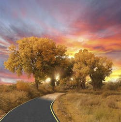 Aw 3876 S95 38 Aw 3876 S95 38