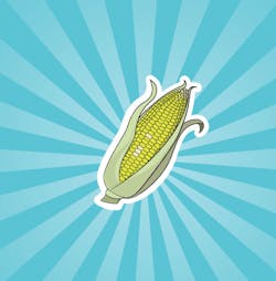 Aw 3919 Alternative10 Aw 3919 Alternative10