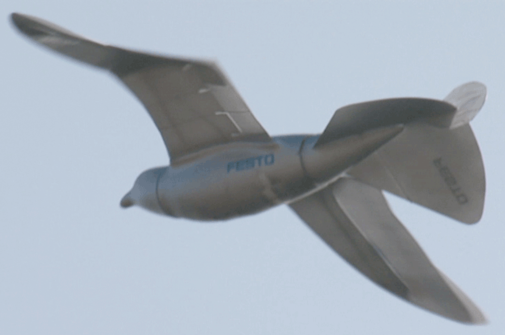 Through its Smart Bird program, Festo expects to learn from nature's principals to transfer its strategy of efficiency to automa