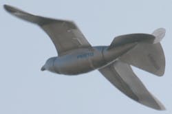 Through its Smart Bird program, Festo expects to learn from nature's principals to transfer its strategy of efficiency to automa Through its Smart Bird program, Festo expects to learn from nature's principals to transfer its strategy of efficiency to automa