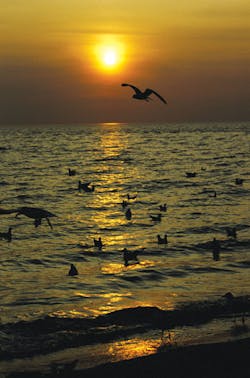 Aw 4038 0802news03 Aw 4038 0802news03