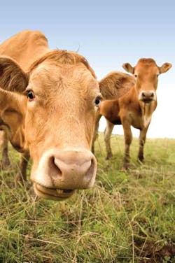 Aw 4328 Ier Arla10 Aw 4328 Ier Arla10