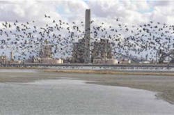 AEPCO plant operations consist of 60 employees working 24/7. Photos source: GE Intelligent Platforms AEPCO plant operations consist of 60 employees working 24/7. Photos source: GE Intelligent Platforms