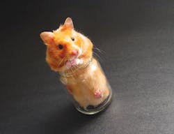 Capacity needs to be analyzed with thoughtfulness to ensure that correct decisions are made. Capacity needs to be analyzed with thoughtfulness to ensure that correct decisions are made.