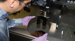 IBM researcher Hongsik Park looks over wafer with carbon nanotubes. Source: Gigaom.com