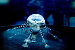 Aw 13330 Festo 20pressebild 20cc 14 12 Aquajellies 1 Aw 13330 Festo 20pressebild 20cc 14 12 Aquajellies 1