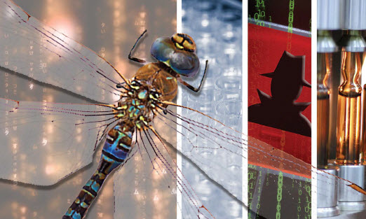 Aw 27793 Dragonfly Malware Image