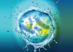 Automating Hygiene: What You Need to Know Automating Hygiene: What You Need to Know