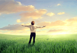 Aw 60731 1504 F2 1 0 Aw 60731 1504 F2 1 0