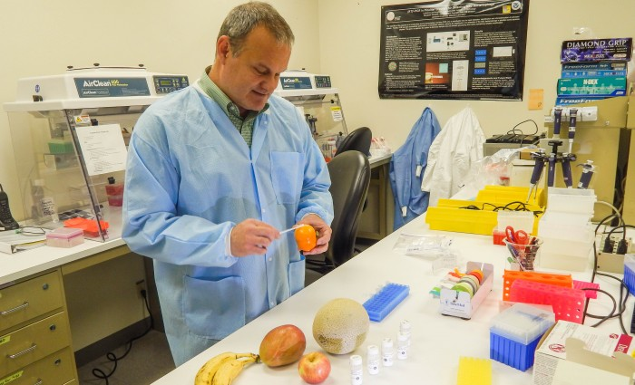 源码:Lawrence Liverore国家实验室-DNTrax测试