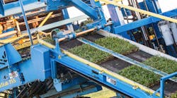 The grass slabs traverse the conveyor, and image sensors register the exact location for the handoff to the pallet stacker.