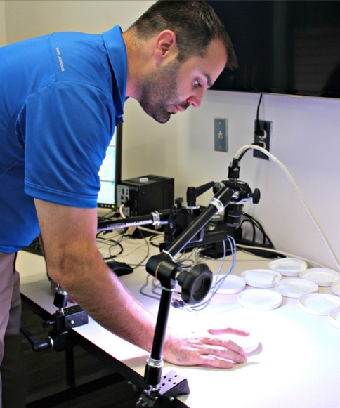 Opening Eyes to Machine Vision