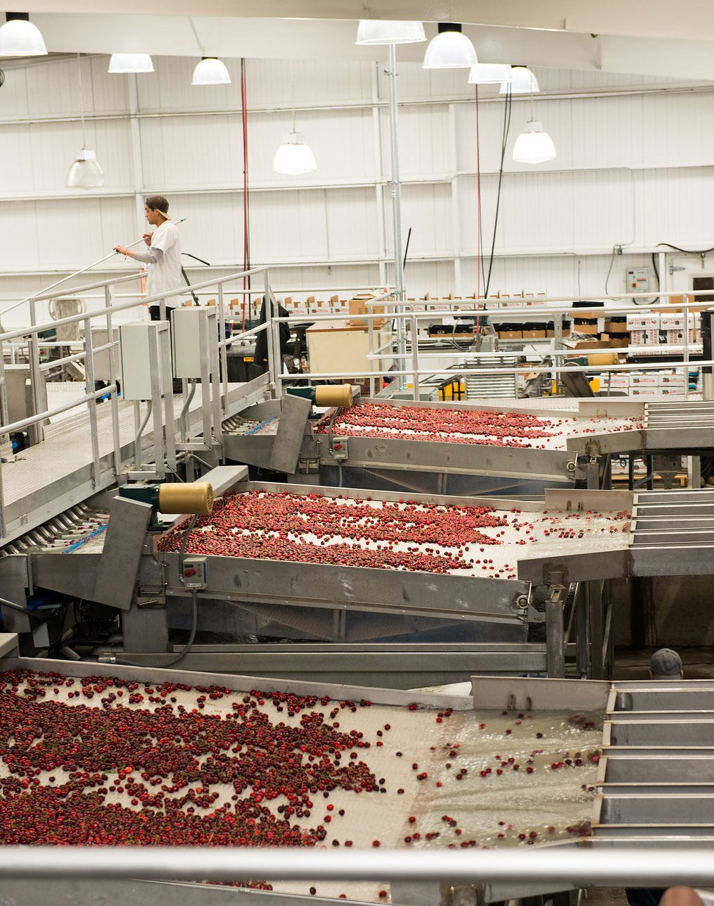 Aw 121217 Cherry20 Plant20 Floor