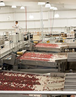 Aw 121217 Cherry20plant20floor Aw 121217 Cherry20plant20floor