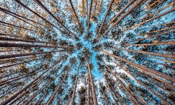 Industrial Ethernet at the Edge Industrial Ethernet at the Edge