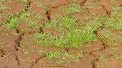 Creating the Digital Future in Brownfield Plants Creating the Digital Future in Brownfield Plants