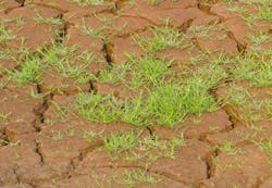 Creating the Digital Future in Brownfield Plants Creating the Digital Future in Brownfield Plants