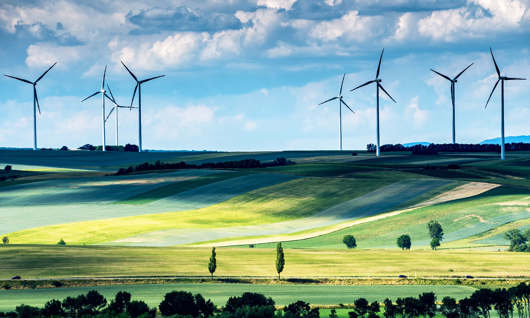 Data Insight Helps Renewables Weather the Market