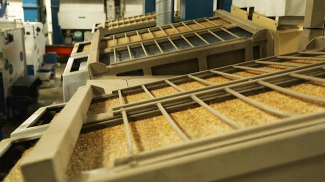 The milling process features multiple pieces of equipment located on three stories to clean the rice kernels for packaging.