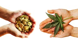 Aw 280246 1902 F1 1 Aw 280246 1902 F1 1