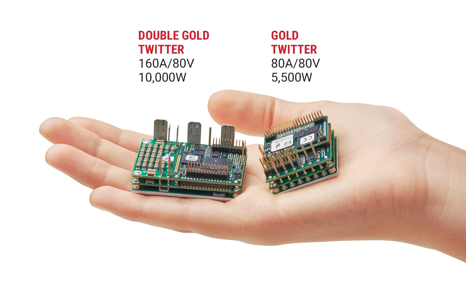 The Double Gold Twitter