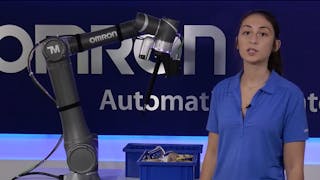 Danielle Belskis, automation engineer at Omron Automation, demonstrates the FH Series 3D camera for robotic bin picking applications.