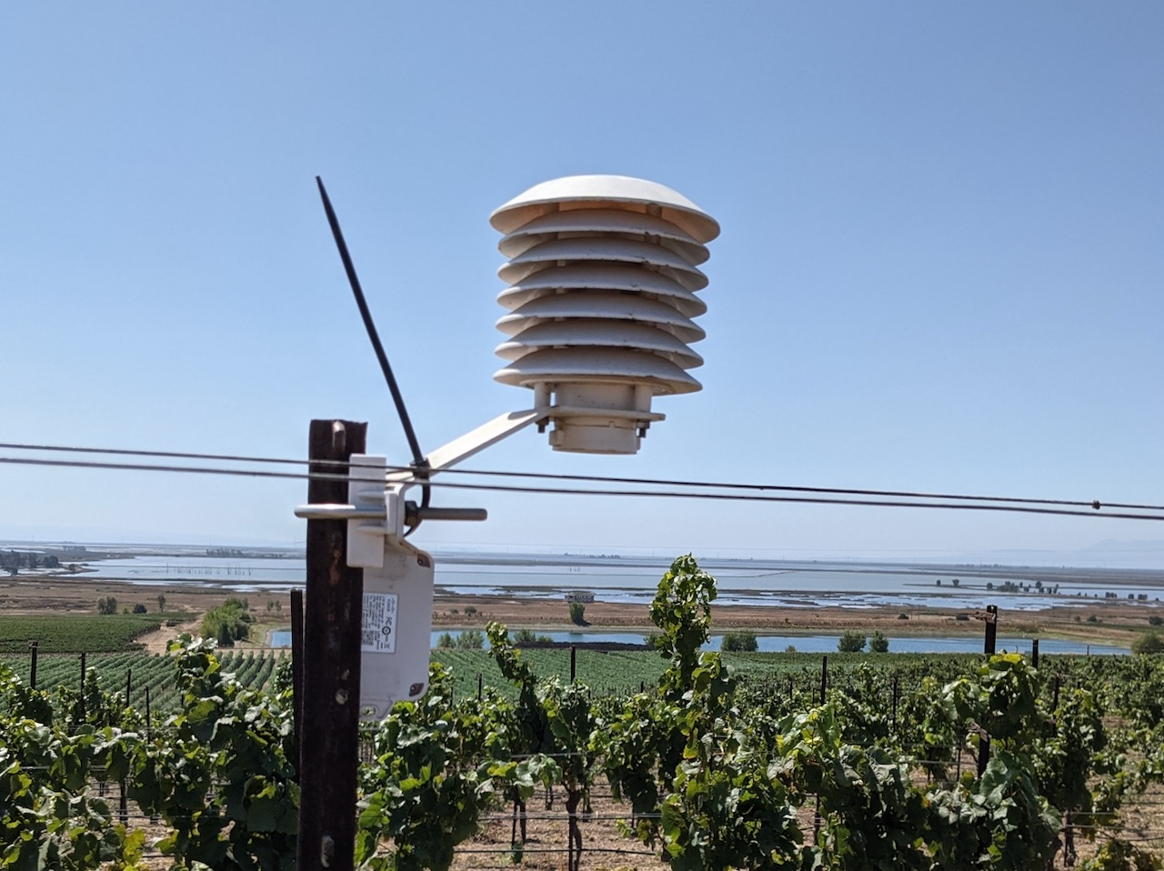 Industrial Sensors Boost Vineyard Data Automation World