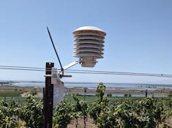 A Cisco Industrial Asset Vision sensor in the field at Bouchaine Vineyards. A Cisco Industrial Asset Vision sensor in the field at Bouchaine Vineyards.