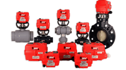 Series 19 Family Photo Series 19 Family Photo