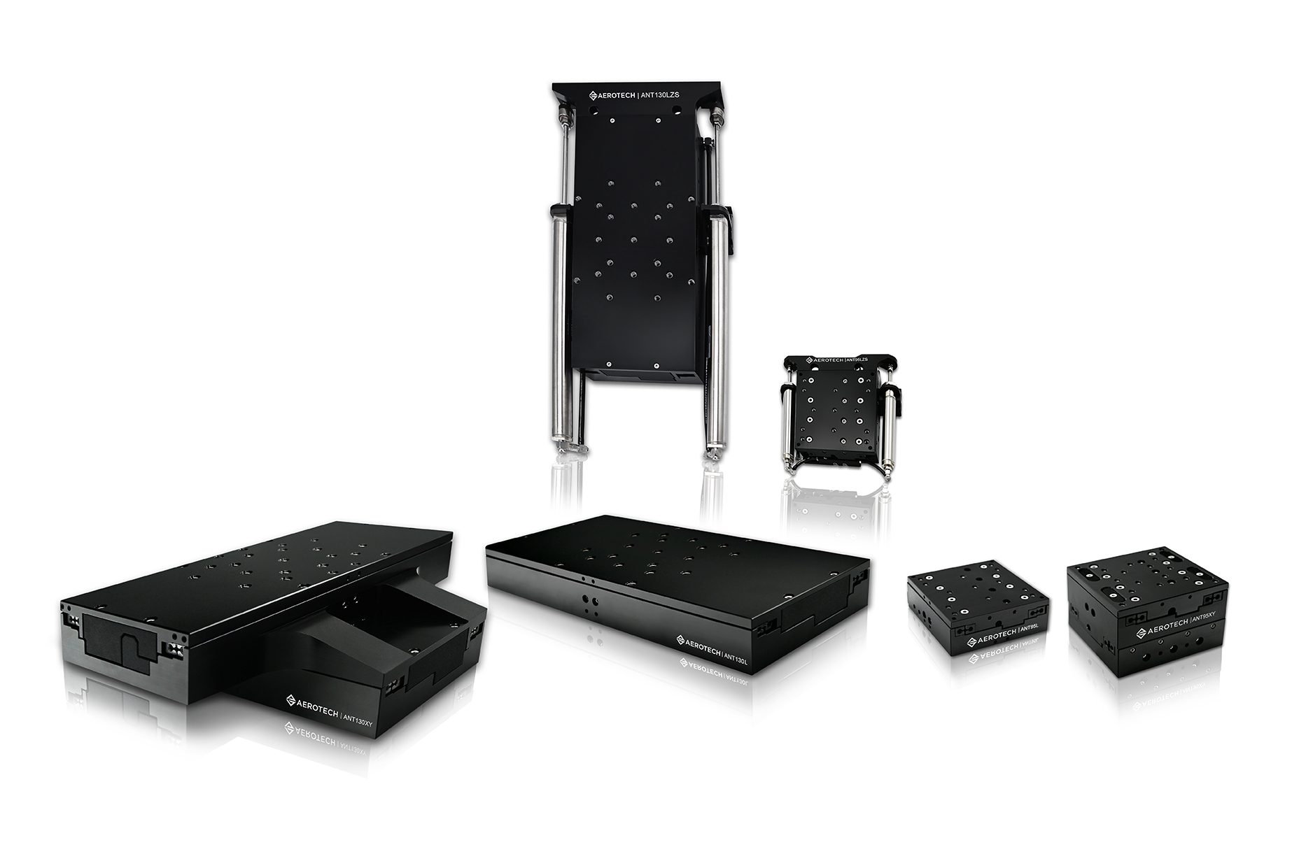 Ant 95 And 130 Family On White1