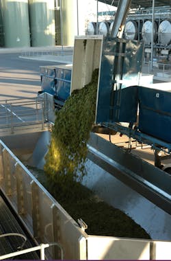 Grapes enter a hopper/crusher bay at the winery. Source: Rockwell Automation