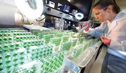 66589940b7afa429242297ac Screenshot 20240529 At 11 66589940b7afa429242297ac Screenshot 20240529 At 11