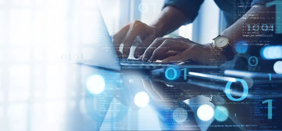 66eb28c501abb31087bfe21a Shutterstock 2247097159