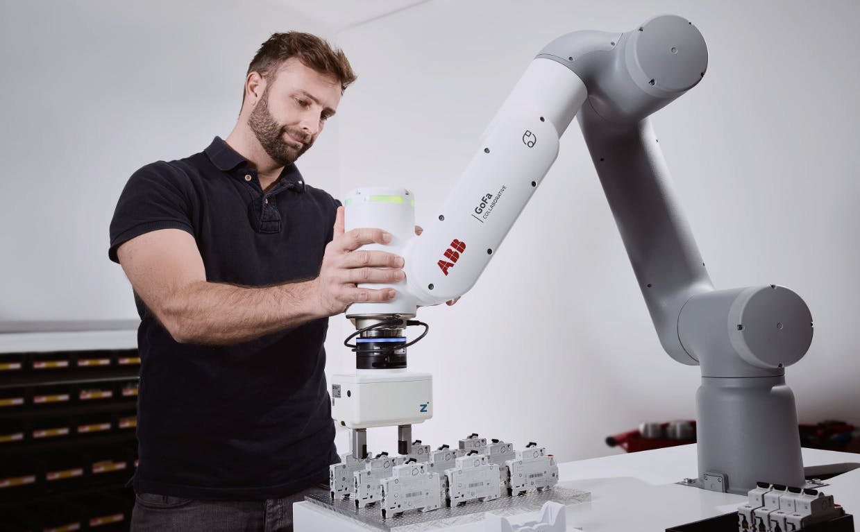 66fc34801a3f59646cd54682 Gofa