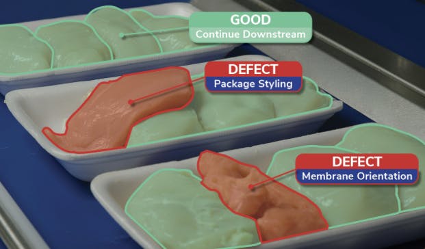 Oxipital AI's vision inspection of chicken