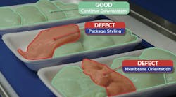 Oxipital AI's vision inspection of chicken Oxipital AI's vision inspection of chicken