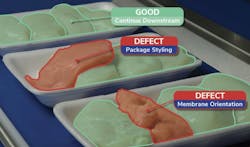 Oxipital AI's vision inspection of chicken Oxipital AI's vision inspection of chicken