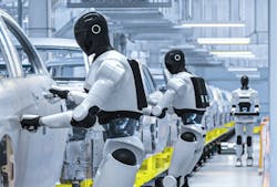 692092924fc6c8332fc66697 Schaefflerneura 692092924fc6c8332fc66697 Schaefflerneura